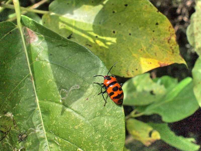 d0090322_00152.jpg