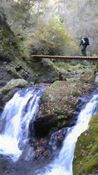 登山_a0100923_12432195.jpg