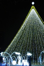 明日は_f0120026_1902826.jpg