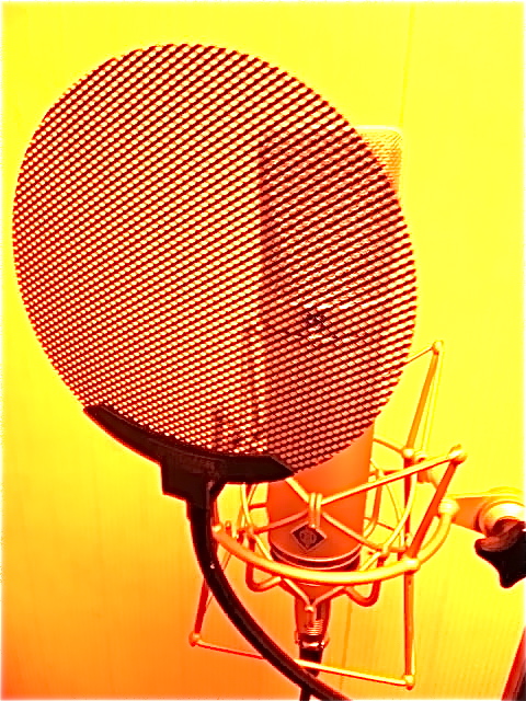 chantez_a0168628_19552720.jpg
