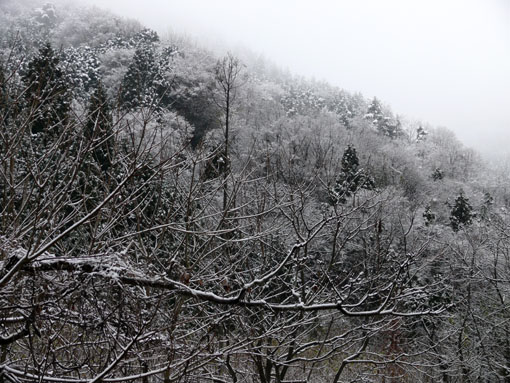 　　湖北は雪景色。。♪　凹_b0023728_19525571.jpg