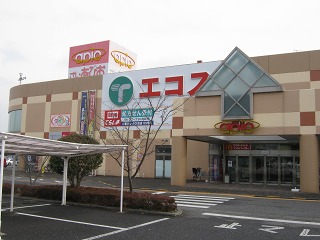 e0202031_2044767.jpg