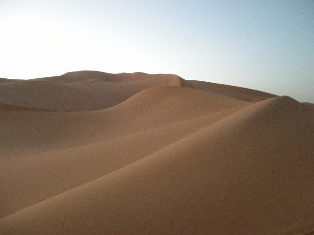 a0141134_11476.jpg