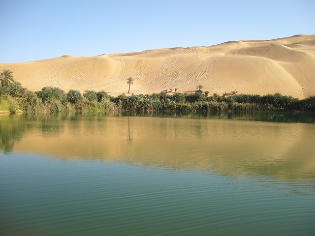 a0141134_13827.jpg