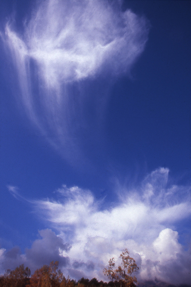 Amazon.co.jp: 凛の瞬【りんのとき】(写真集) (風景写真books