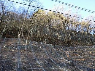冬のサイクリング!!_b0206037_1323328.jpg