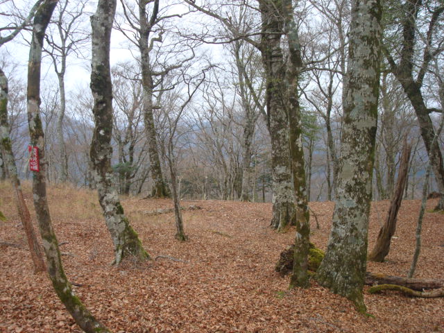 a0048040_21471194.jpg