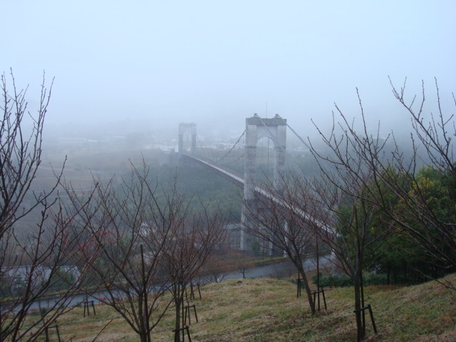 a0048040_21554697.jpg