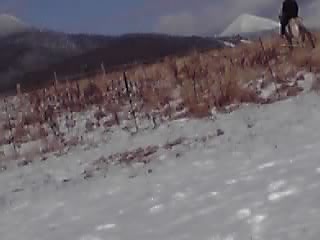 暫くは不便ですが_e0145441_21261830.jpg