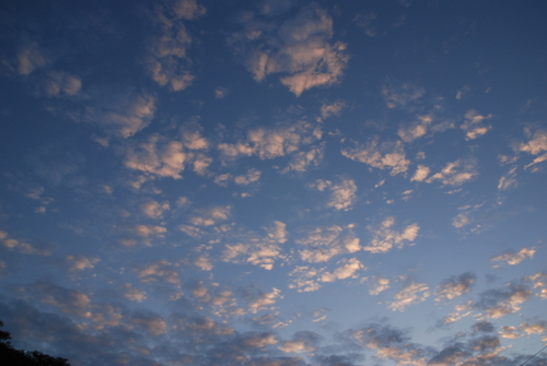 f0229844_0365916.jpg