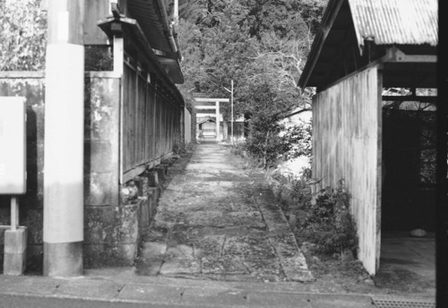 那智山旧街道をゆく　　青彦神社＊前編_e0156251_23364315.jpg