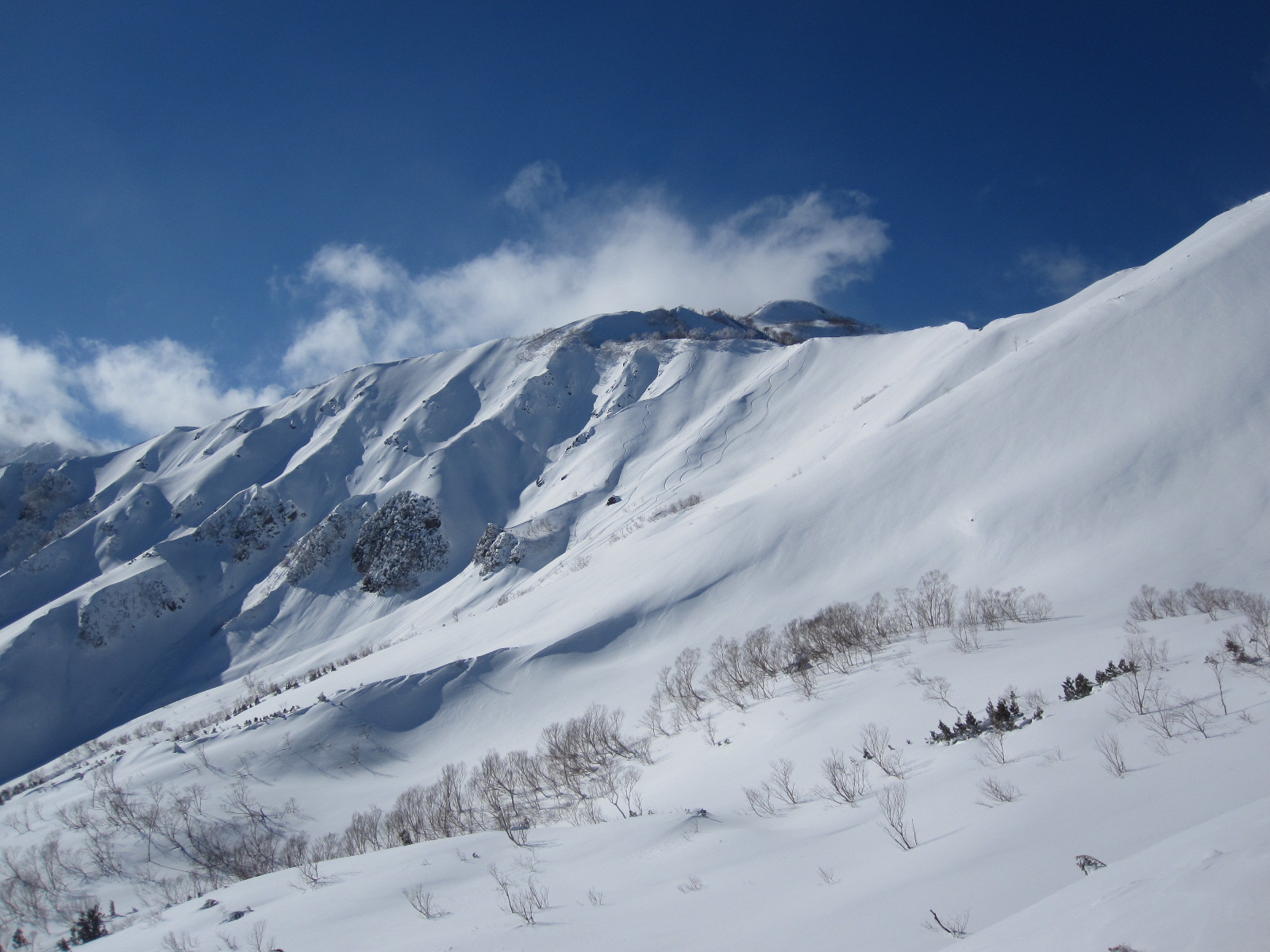 f0209354_17235486.jpg