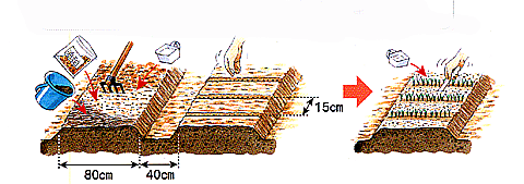 e0082956_6444110.gif
