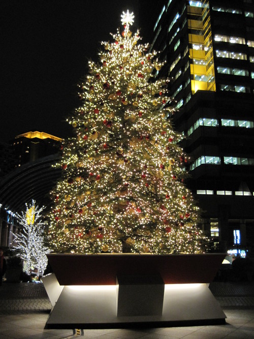 f0236260_21553157.jpg
