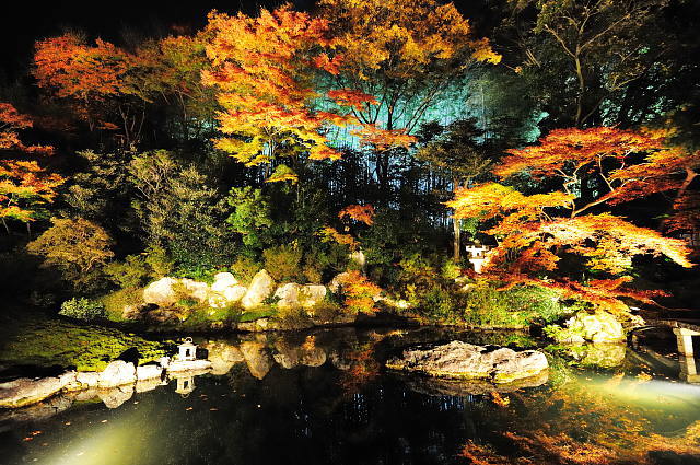 京都 青蓮院門跡 紅葉 Photograph