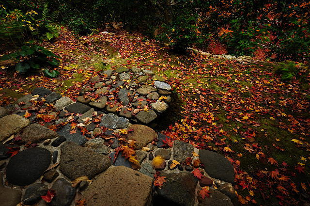 f0222161_2342843.jpg