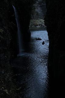 高千穂・五ヶ瀬・・・・あまてらすラナンキュラスⅡ・・・_b0137969_18451529.jpg