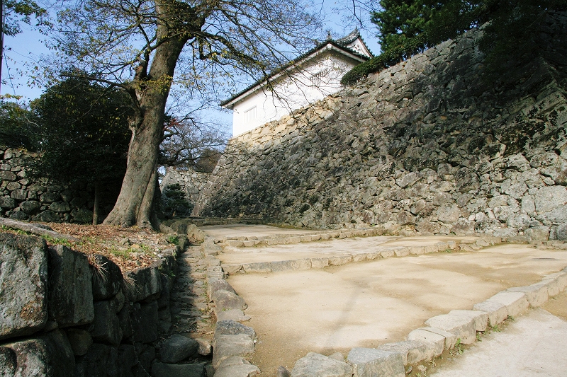 c0196076_7351595.jpg