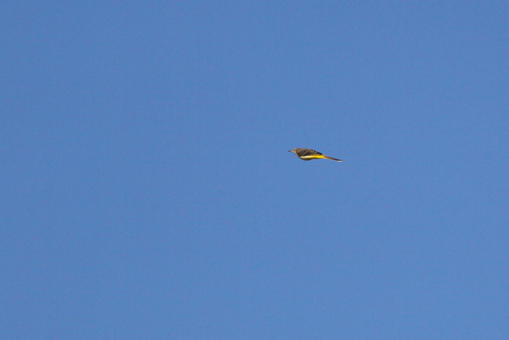 a0083081_1659670.jpg