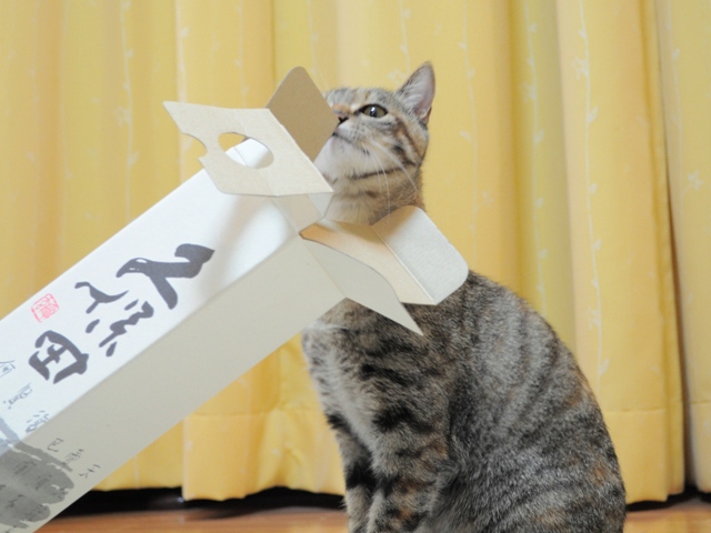遊んで!遊んで!_a0126590_5492746.jpg