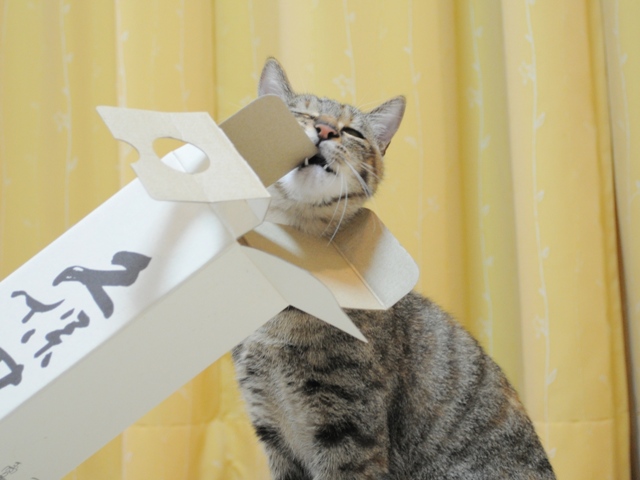 遊んで!遊んで!_a0126590_5501952.jpg