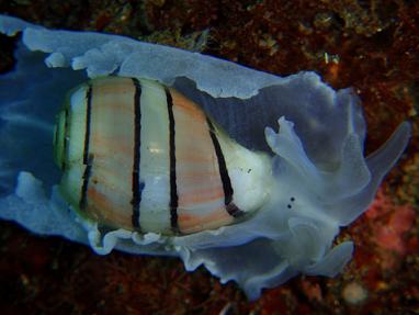 f0238795_21204578.jpg