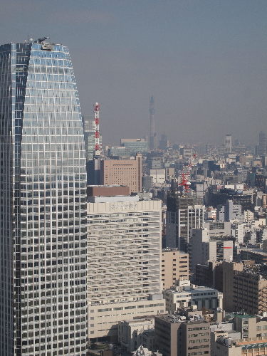 東京タワー_a0161998_1610525.jpg
