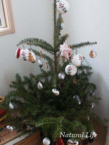 b0162000_37513.gif