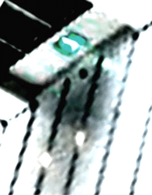 e0103408_6361458.gif
