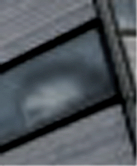e0103408_644481.gif