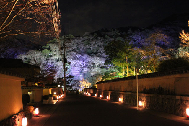 京都・嵐山花灯路3 時雨殿から宝厳院_e0048413_1329307.jpg