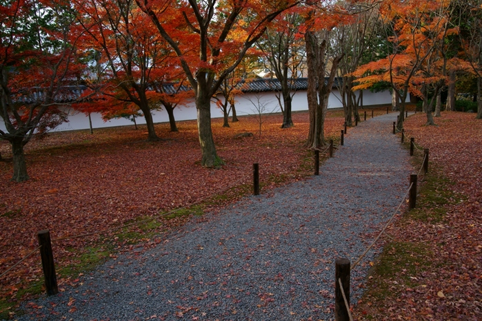 東福寺の名残の紅葉　後_e0177413_1146244.jpg