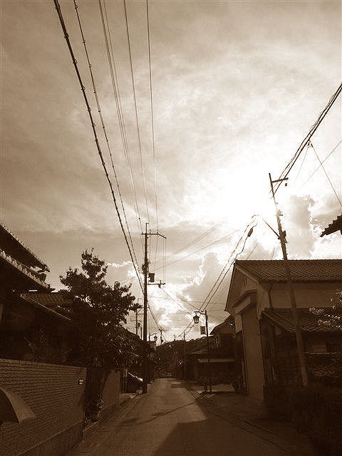 日本臭。_c0116714_3351797.jpg