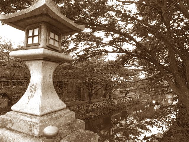 日本臭。_c0116714_336393.jpg