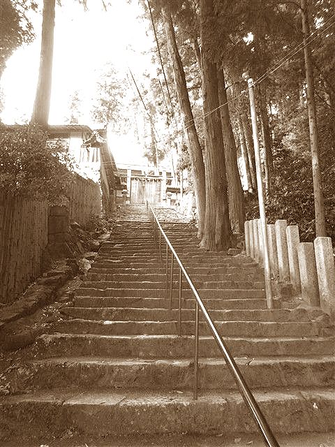 日本臭。_c0116714_3371989.jpg