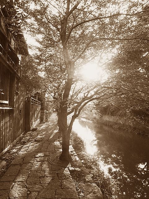 日本臭。_c0116714_337618.jpg