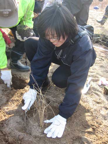 野洲市あやめ浜・「びわこヨシ植え・松林保全活動」に参加！（2010.12.18）_d0204017_17513835.jpg