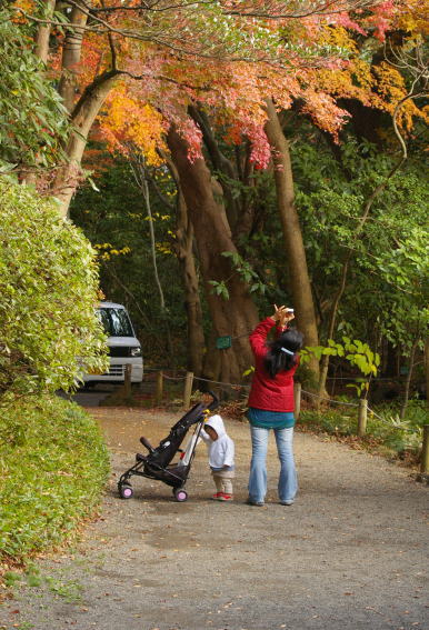 お散歩遠足_d0006718_7511558.jpg