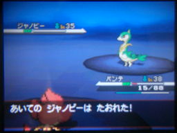 ポケットモンスターブラック縛りプレイ（フキヨセ～セッカ）_a0120525_017435.jpg