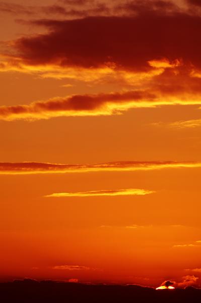 a0145825_19364382.jpg