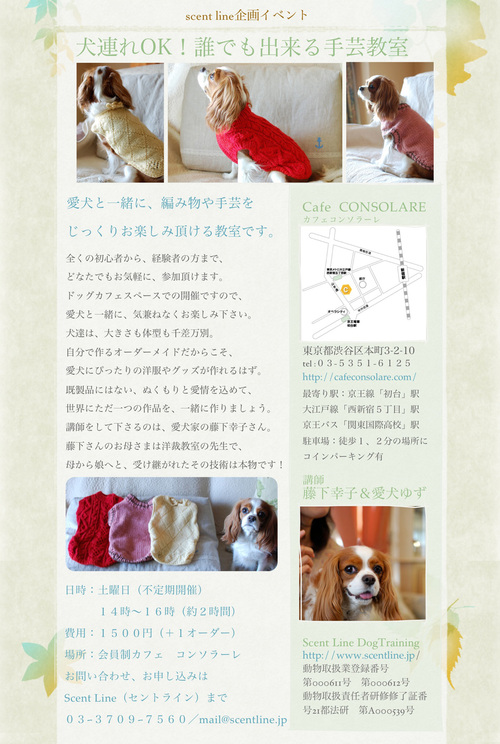 「犬連れOK!誰でも出来る手芸教室」のお知らせ_c0099133_5242035.jpg