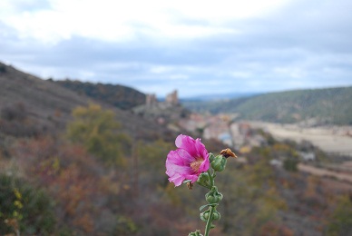 e0120938_5533818.jpg