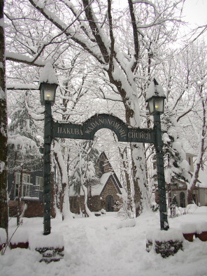 和田野の森に雪が降りました。_b0147051_13581817.jpg