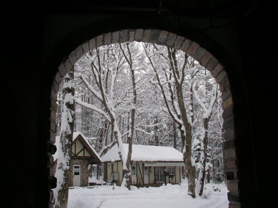 和田野の森に雪が降りました。_b0147051_14271090.jpg