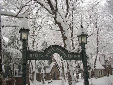 和田野の森に雪が降りました。_b0147051_1495279.jpg