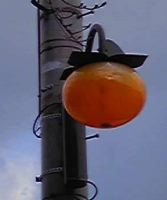 f0065954_2223455.jpg