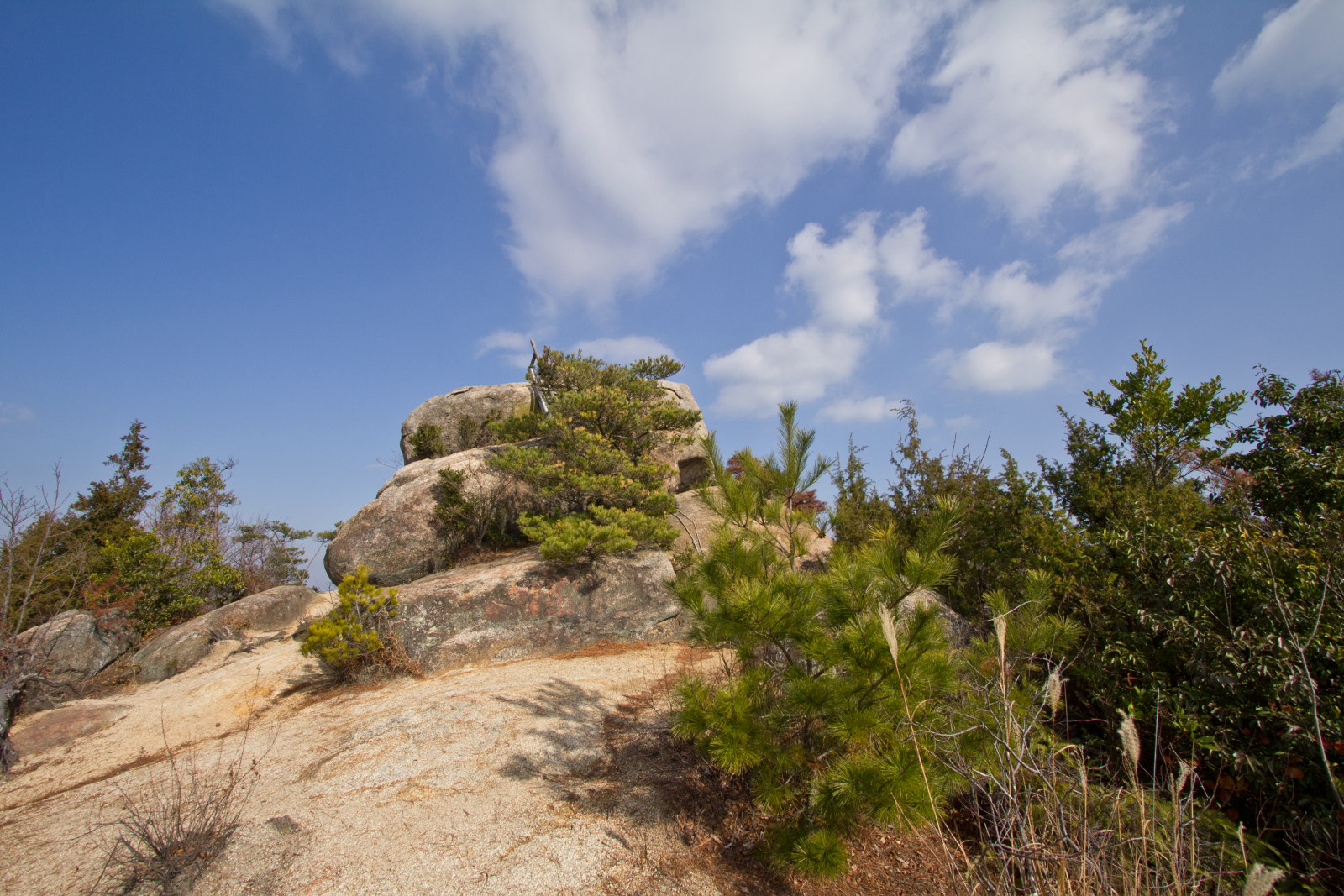 e0015567_20272320.jpg