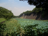 青春18きっぷの旅　東京皇居見学。_c0063368_15293151.jpg