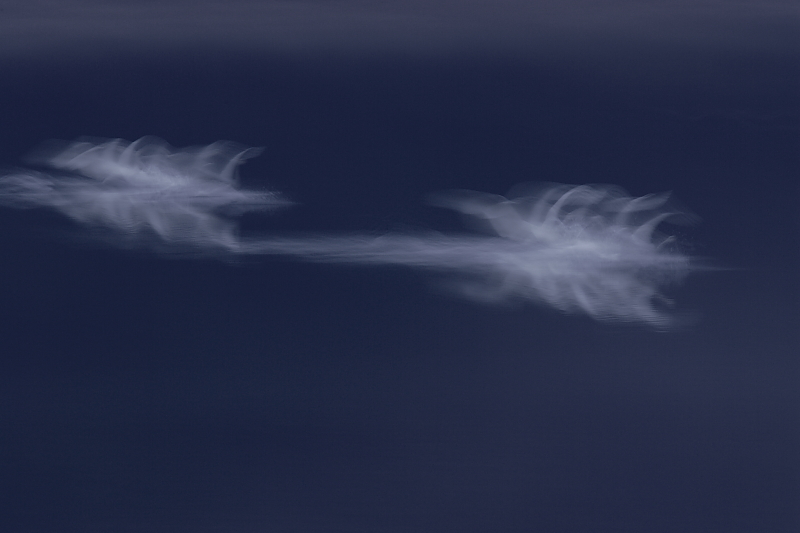 f0215969_8384451.jpg