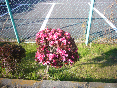 e0067674_15272143.jpg